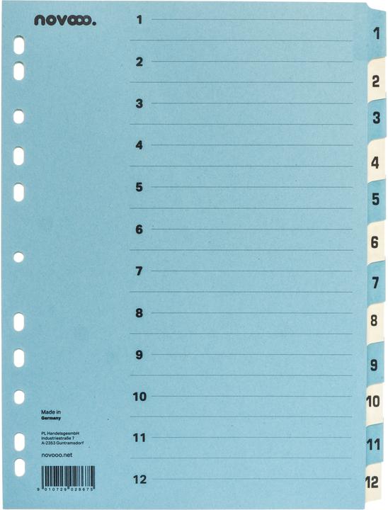 Actual product image Novooo Cardboard index blue/beige A4