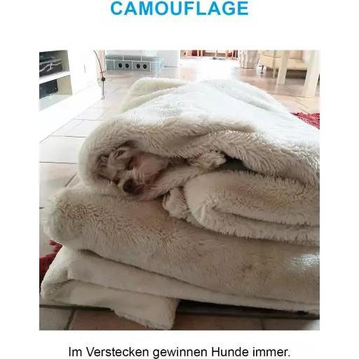 Thumbnail - Der herabschauende Hund, Belletristik