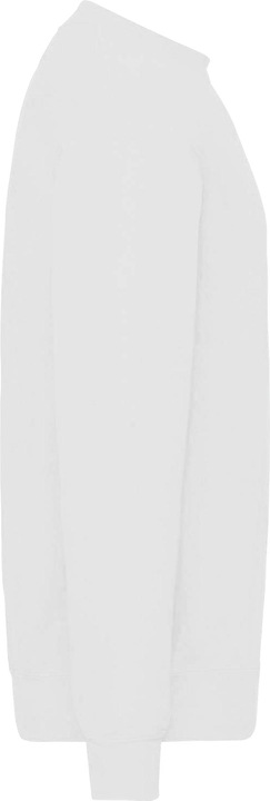 Image du produit Fruit of the Loom - Sweat CLASSIC - Homme (3XL)