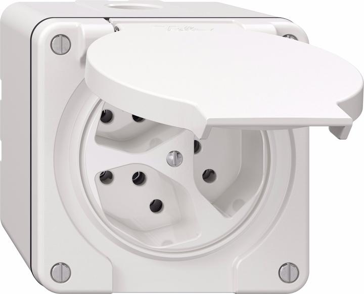 Actual product image Feller Socket