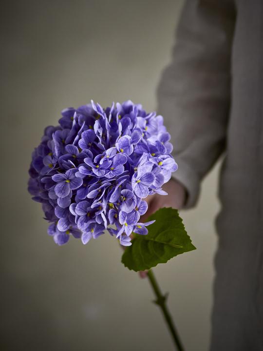 Actual product image Bloomingville Hydrangea (73 cm)