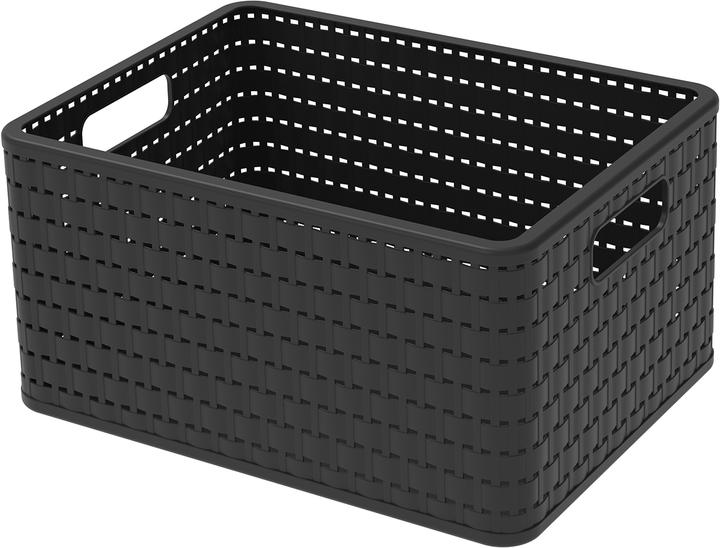 Rotho Paese (1 x, 36,8 x 27,8 x 19,1 cm)