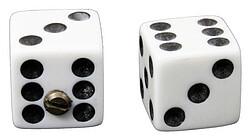 Image du produit AllParts AP PK 3250-025 Dice Knob (set2) white (Pièces de rechange pour instruments)