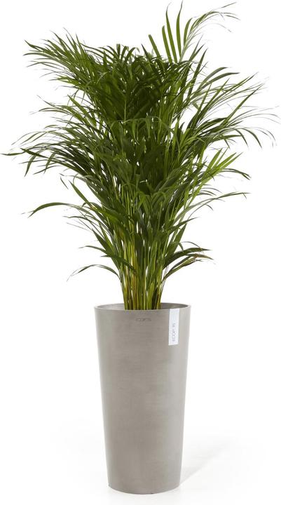 Actual product image Ecopots Amsterdam hoch (76 cm)