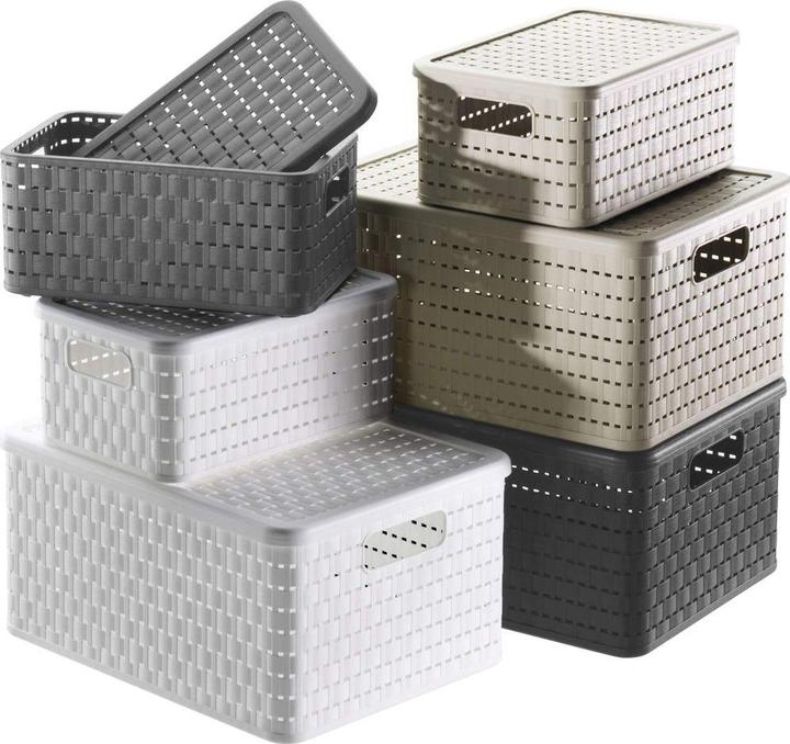 Immagine prodotto Rotho Paese (A5)