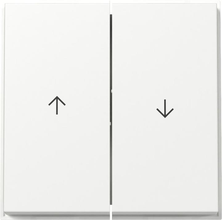 Actual product image Gira Rocker 2f Arrow