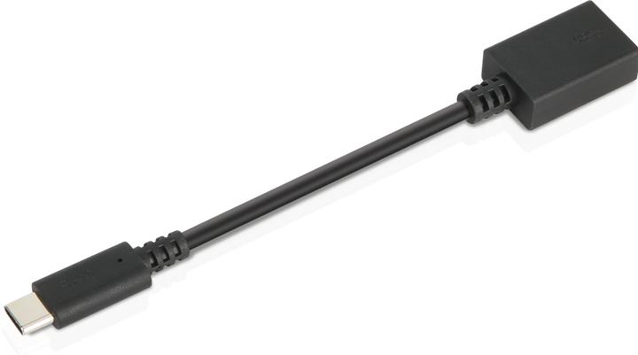 Actual product image Lenovo USB zu (USB-A, 14 cm)