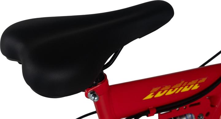 Produktbild Wyld Kinder-Mountainbike Fully 24" Zodiac 18 Gänge RH 38 cm (24")