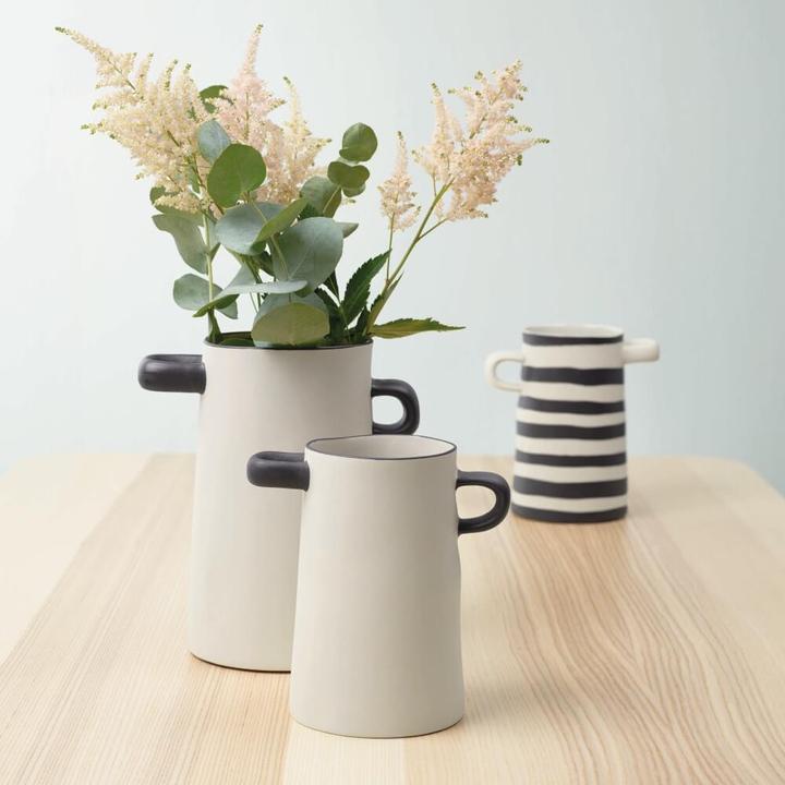 Image du produit ASA Selection nature (1x)