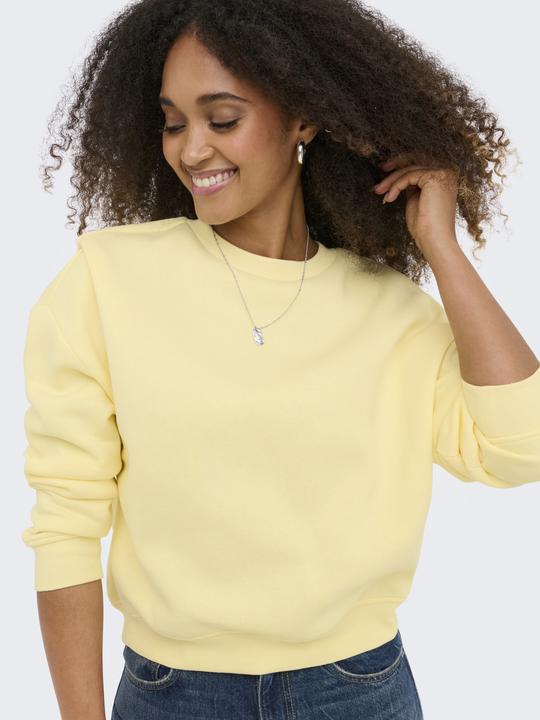 Produktbild Only Onlsweat Life L/S Crew Oversize Swt Noos (M)