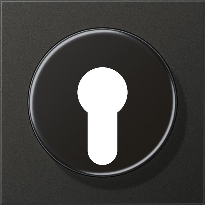 Actual product image JUNG Key/Abd switch LS anth mt AL2928AN