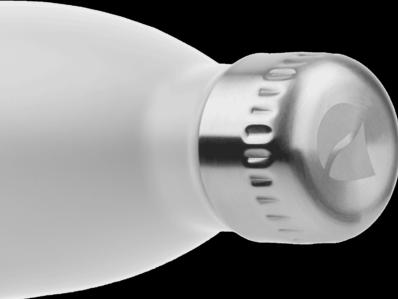Actual product image FLSK Drinking bottle (0.75 l)