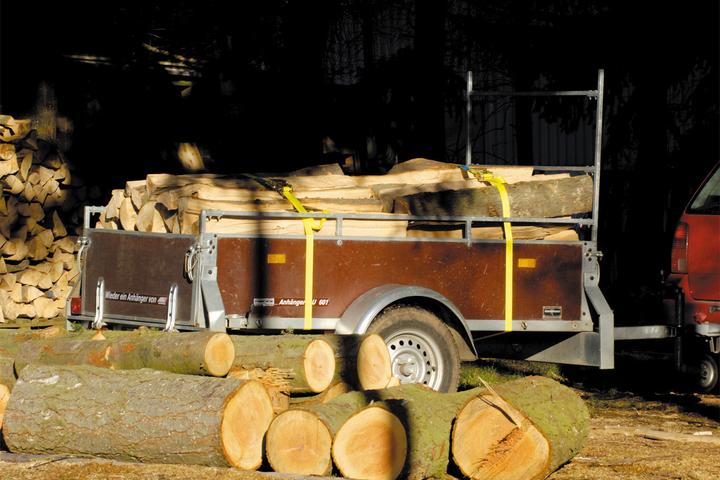 Produktbild wolfcraft Einteiliger Spanngurt Zugkraft