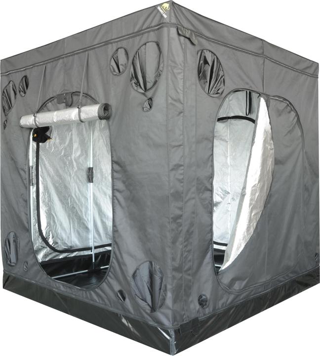 Mammoth Elite HC 240