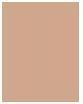 Actual product image Sensai Silky Bronze Natural Veil Compact (SC02 Natural)