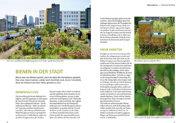 Produktbild Kosmos Mein Garten summt! (Deutsch, Simone Kern, 2023)
