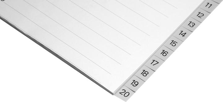 Produktbild Biella Register Vollformat aus PP, hellgrau, mit Indexblatt