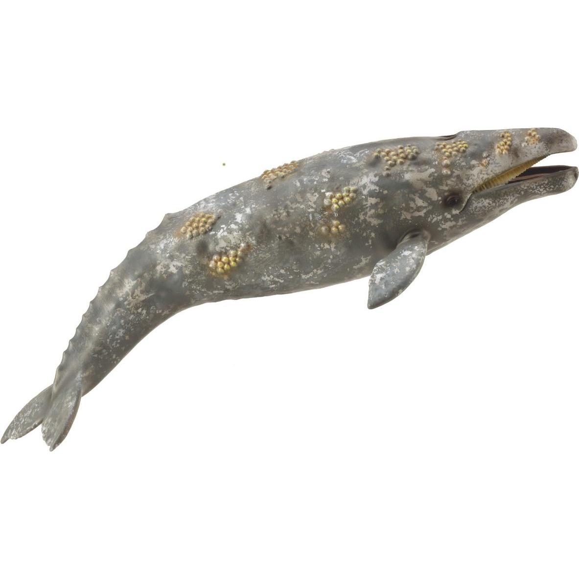 Collecta Grauwal, 88836