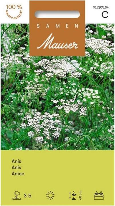 Produktbild Samen Mauser Anis (Kräutersamen)