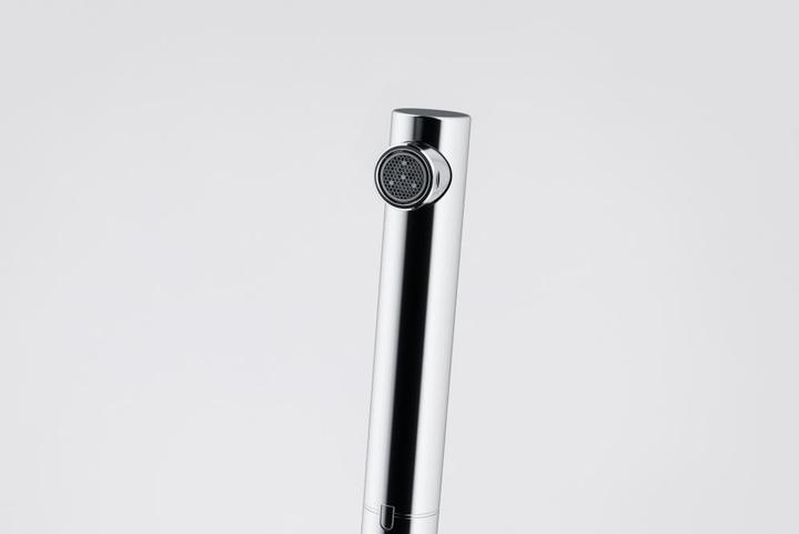 Actual product image Franke Armatur Lina L Zugauslauf chrom