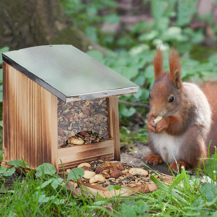 Actual product image Relaxdays Squirrel Feeder with Roof