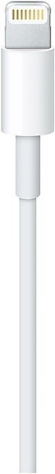 Actual product image USB-C to Lightning (1 m, USB 3.0)
