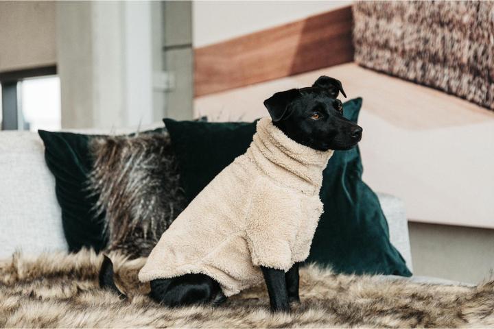Produktbild Kentucky Dogwear Hunde Pullover Teddy Fleece (XL, Hundepullover)