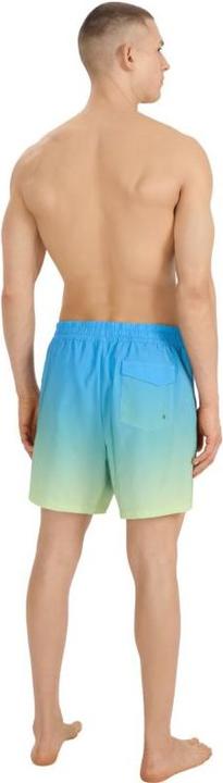 Image du produit 4F Herren-Badeshorts (XL)