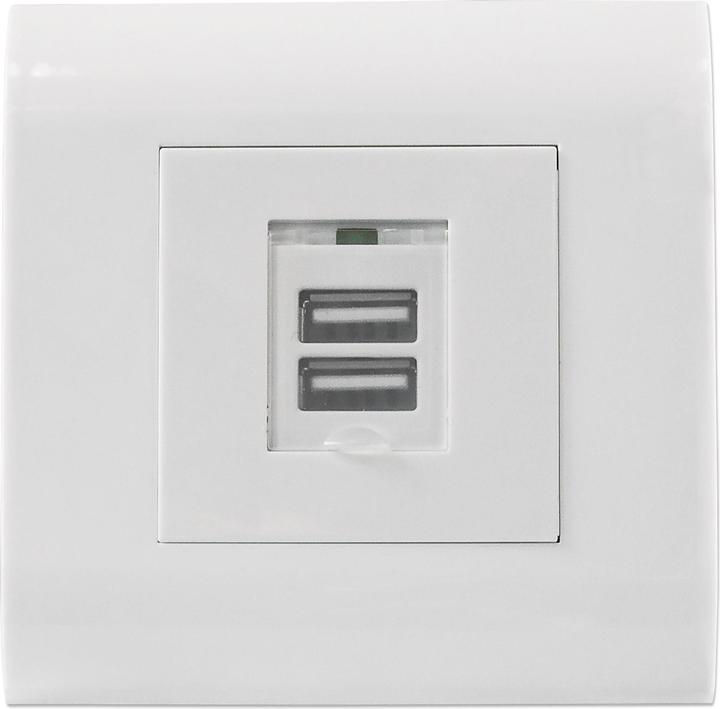 Actual product image Intellinet Output can be mounted flush with the surface