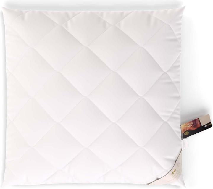 Immagine prodotto Erzstef Allergia Chemnitz (65 x 65 cm)