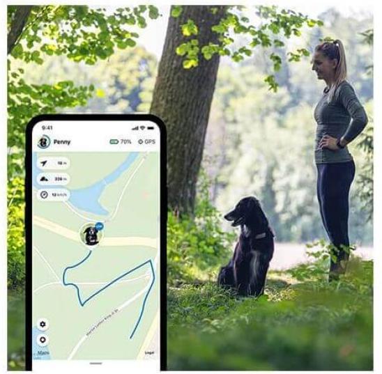 Immagine prodotto Tractive Dog 4 GPS Tracker per cani (Cane, Generale)