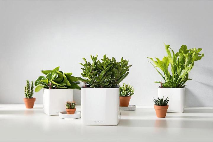 Produktbild Lechuza Cube Glossy 16 (16 x 16 x 16 cm)