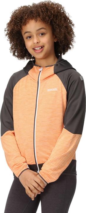 Produktbild Regatta Prenton II Softshelljacke mit Kapuze (170, 176)