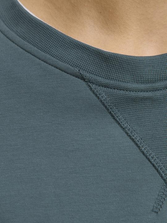 Actual product image Jack & Jones RDD Gedruckt Sweatshirt Sweatshirt (M)