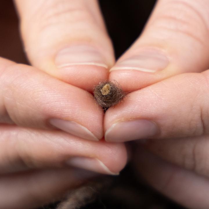 Produktbild Viana Wollkordel Dekoschnur für Floristik und Basteln