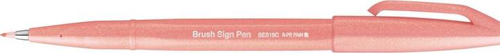 Actual product image Pentel Brush Sign Pen (1x)