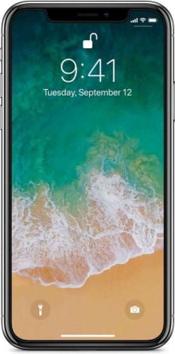 Actual product image Screenguard 100% Display Protection Film Apple iPhone XS Crystal Clear (1 pcs., Apple iPhone XS)