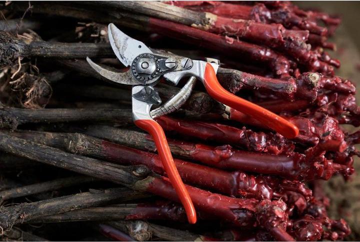 Produktbild Felco Gartenschere 14