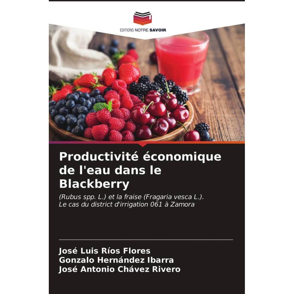 Productivité économique de l'eau dans le Blackberry, Fachbücher von José Antonio Chávez Rivero, Gonzalo Hernández Ibarra...