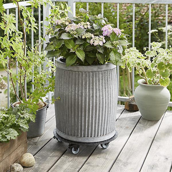 Immagine prodotto Wagner System Rullo di trasporto