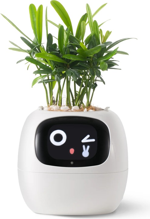 Produktbild Plantsio Ivy Smart Planter