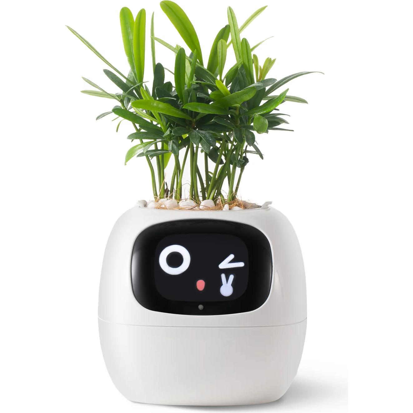 Plantsio Ivy Smart Planter (ivy_smart_planter_white)