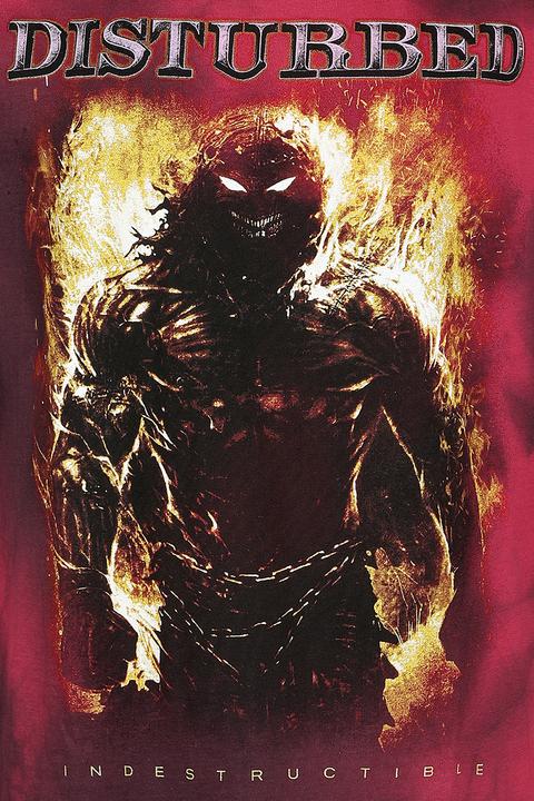 Produktbild Disturbed Indestructible (M)