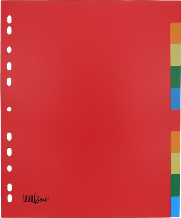 Image du produit BüroLine Intercalaire PP coloré A4