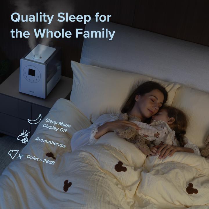 Image du produit Levoit LV600S (70 m²)