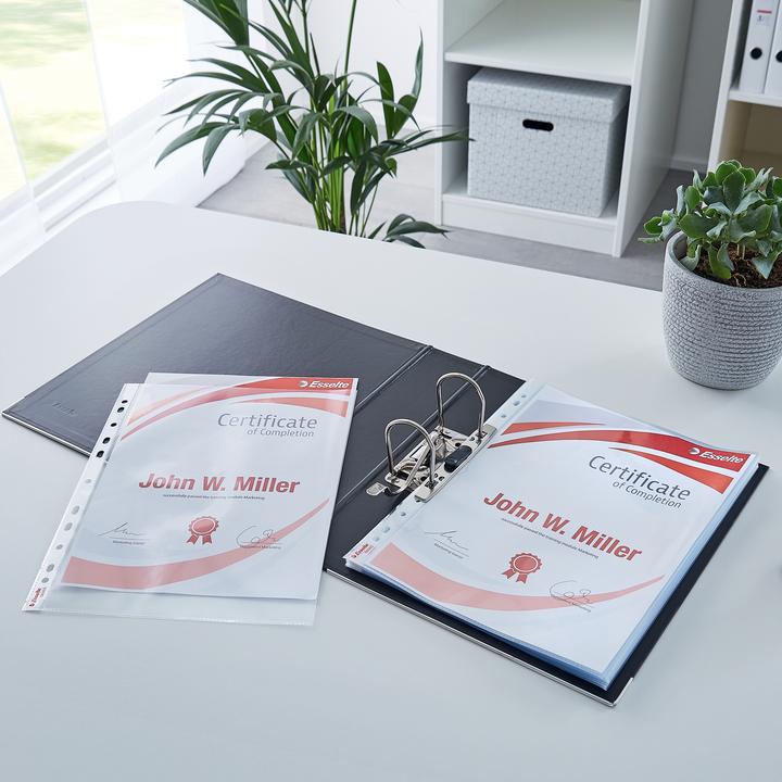 Actual product image Leitz Esselte Premium brochure cover, A4, PP, crystal clear, 0.10 mm open top, document-proof, Euro (A4, 1 x)