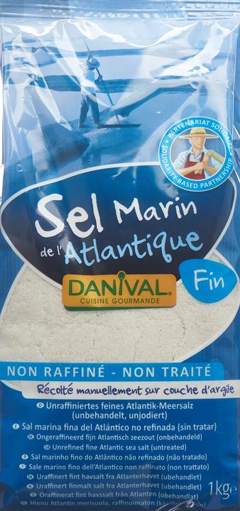 Image du produit Danival Sel (1000 g)
