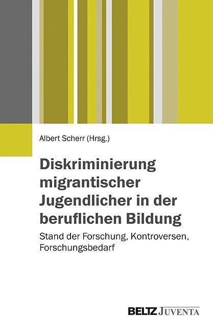 Produktbild Diskriminierung migrantischer Jugendlicher in der beruflichen Bildung (Deutsch, 2015)