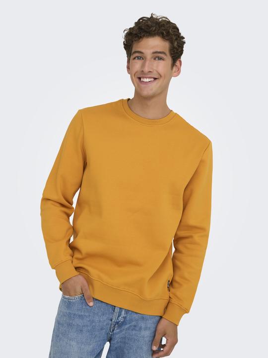 Produktbild Only & Sons Onsconnor Reg Crew Neck Sweat Noos (L)