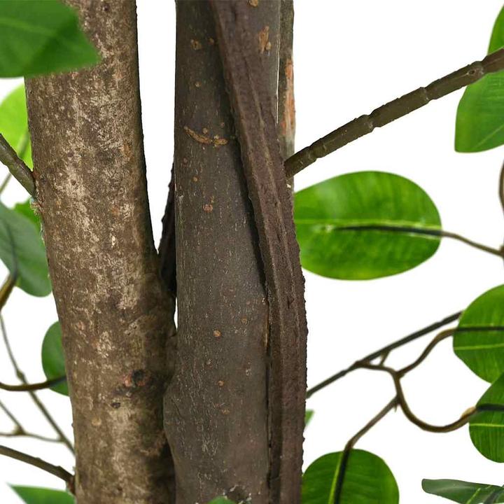 Produktbild vidaXL Ficusbaum (200 cm)